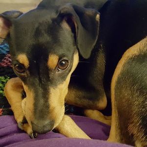 Meet your Posher, Tracy